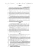 ANTIBODIES AND RELATED MOLECULES THAT BIND TO 161P2F10B PROTEINS diagram and image