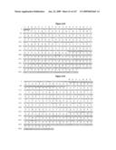 ANTIBODIES AND RELATED MOLECULES THAT BIND TO 161P2F10B PROTEINS diagram and image