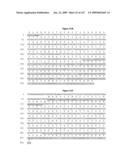 ANTIBODIES AND RELATED MOLECULES THAT BIND TO 161P2F10B PROTEINS diagram and image