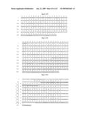 ANTIBODIES AND RELATED MOLECULES THAT BIND TO 161P2F10B PROTEINS diagram and image