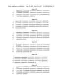 ANTIBODIES AND RELATED MOLECULES THAT BIND TO 161P2F10B PROTEINS diagram and image