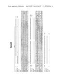 ANTIBODIES AND RELATED MOLECULES THAT BIND TO 161P2F10B PROTEINS diagram and image