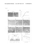 Orthotopic, controllable, and genetically tractable non-human animal model for cancer diagram and image