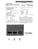 METHODS FOR INTRODUCING MANNOSE 6-PHOSPHATE AND OTHER OLIGOSACHARIDES ONTO GLYCOPROTEINS diagram and image