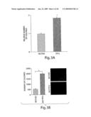 Trefoil Factors and Methods of Treating Proliferation Disorders Using Same diagram and image