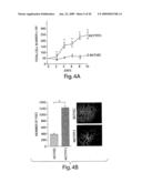 Trefoil Factors and Methods of Treating Proliferation Disorders Using Same diagram and image