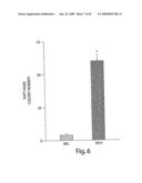 Trefoil Factors and Methods of Treating Proliferation Disorders Using Same diagram and image