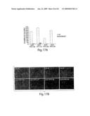 Trefoil Factors and Methods of Treating Proliferation Disorders Using Same diagram and image