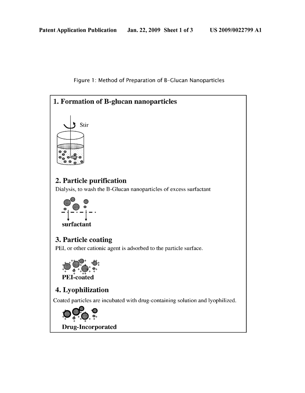 COMPOSITIONS THAT CONTAIN BETA-GLUCAN TO BE USED FOR THE PREVENTION AND TREATMENT OF DISEASE AND METHODS FOR THEIR USE - diagram, schematic, and image 02