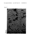 PROCESS FOR PREPARATION OF PLANT TISSUES OF PROCESSED BEANS, GRAINS, UNUTS/SEEDS, VEGETABLES OR FRUITS, PLANT TISSUES OF PROCESSED BEANS, GRAINS, NUTS/SEEDS, VEGETABLES OR FRUITS, AND PROCESSED FOOD PREPARED USING THE PLANT TISSUES diagram and image