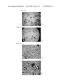 PROCESS FOR PREPARATION OF PLANT TISSUES OF PROCESSED BEANS, GRAINS, UNUTS/SEEDS, VEGETABLES OR FRUITS, PLANT TISSUES OF PROCESSED BEANS, GRAINS, NUTS/SEEDS, VEGETABLES OR FRUITS, AND PROCESSED FOOD PREPARED USING THE PLANT TISSUES diagram and image