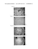 PROCESS FOR PREPARATION OF PLANT TISSUES OF PROCESSED BEANS, GRAINS, UNUTS/SEEDS, VEGETABLES OR FRUITS, PLANT TISSUES OF PROCESSED BEANS, GRAINS, NUTS/SEEDS, VEGETABLES OR FRUITS, AND PROCESSED FOOD PREPARED USING THE PLANT TISSUES diagram and image