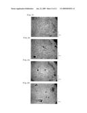 PROCESS FOR PREPARATION OF PLANT TISSUES OF PROCESSED BEANS, GRAINS, UNUTS/SEEDS, VEGETABLES OR FRUITS, PLANT TISSUES OF PROCESSED BEANS, GRAINS, NUTS/SEEDS, VEGETABLES OR FRUITS, AND PROCESSED FOOD PREPARED USING THE PLANT TISSUES diagram and image