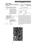 Combination structural support and thermal protection system diagram and image