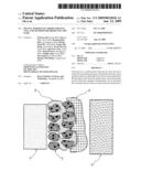 Multi-Layered Electrode for Fuel Cell and Method for Producing the Same diagram and image