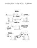 DETECTION OF ENHANCED MULTIPLEX SIGNALS BY SURFACE ENHANCED RAMAN SPECTROSCOPY diagram and image