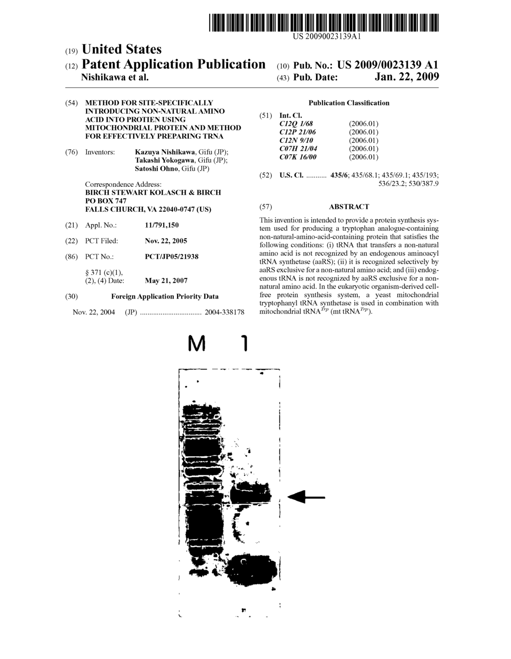 Method For Site-Specifically Introducing Non-Natural Amino Acid Into Protien Using Mitochondrial Protein and Method For Effectively Preparing Trna - diagram, schematic, and image 01