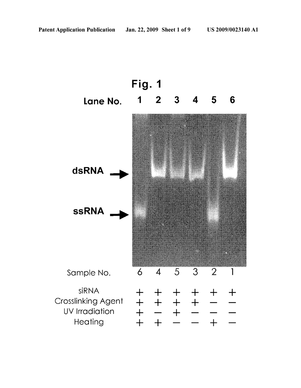 CROSSLINKING AGENT, CROSSLINKING METHOD, METHOD OF CONTROLLING GENE EXPRESSION, AND METHOD OF EXAMINING GENE FUNCTION - diagram, schematic, and image 02