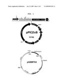 Method For Preparing Recombinant Peptide From Spider Venom and Analgesic Composition Containing The Peptide diagram and image