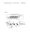 NUCLEIC ACID ANALYSIS DEVICE AND NUCLEIC ACID ANALYZER USING THE SAME diagram and image