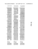 AXMI-008, A DELTA-ENDOTOXIN GENE AND METHODS FOR ITS USE diagram and image