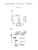 Neovascularization Inhibitors Derived From HGF and Methods Involving the Same diagram and image