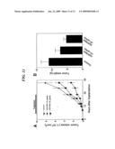 Neovascularization Inhibitors Derived From HGF and Methods Involving the Same diagram and image