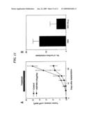 Neovascularization Inhibitors Derived From HGF and Methods Involving the Same diagram and image