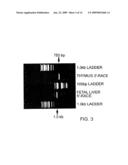 Novel Hemopoietin Receptor Protein, NR12 diagram and image