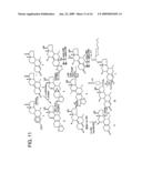 METHOD OF MAKING AND USING 7alpha,11beta-DIMETHYL-17beta-HYDROXYESTR-4-EN-3-ONE 17-UNDECANOATE diagram and image