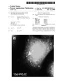 METHODS OF TRANSLATION AND/OR INFLAMMATION BLOCKADE diagram and image