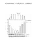 METHODS OF TRANSLATION AND/OR INFLAMMATION BLOCKADE diagram and image