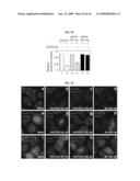 METHODS OF TRANSLATION AND/OR INFLAMMATION BLOCKADE diagram and image