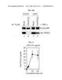 METHODS OF TRANSLATION AND/OR INFLAMMATION BLOCKADE diagram and image