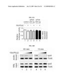 METHODS OF TRANSLATION AND/OR INFLAMMATION BLOCKADE diagram and image