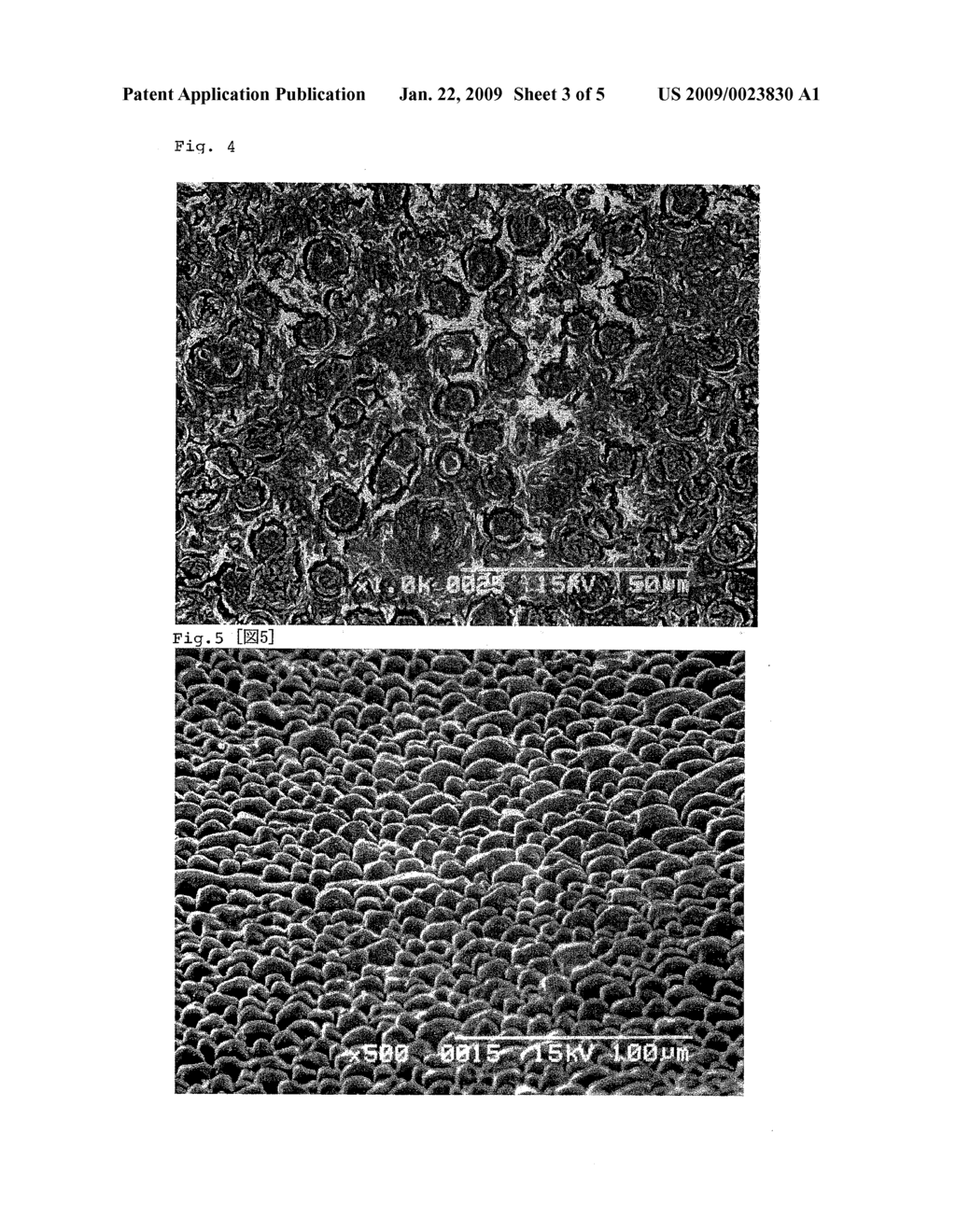 POLYMER AND PROCESS FOR PRODUCING POLYMER - diagram, schematic, and image 04