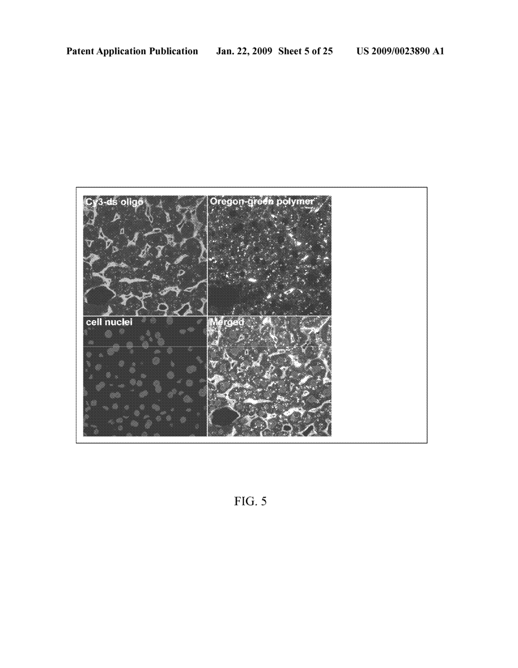 Membrane Active Heteropolymers - diagram, schematic, and image 06