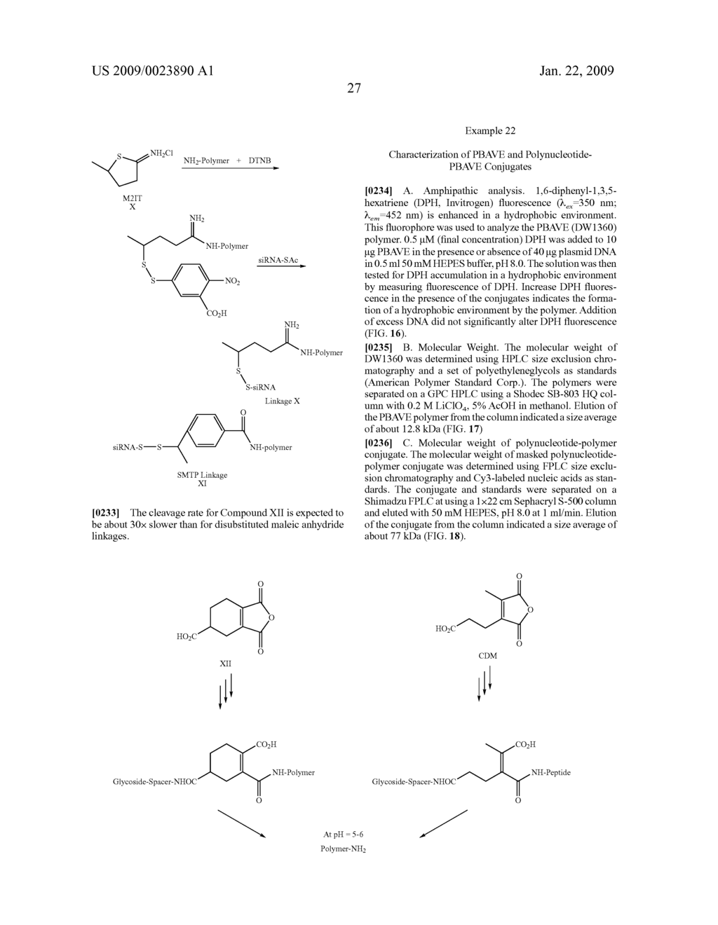 Membrane Active Heteropolymers - diagram, schematic, and image 53