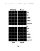 USE OF ANTIMICROBIAL PROTEINS AND PEPTIDES FOR THE TREATMENT OF OTITIS MEDIA AND PARANASAL SINUSITIS diagram and image