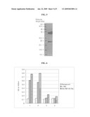 Neutralizing Antibody Against HGF diagram and image