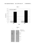 Neutralizing Antibody Against HGF diagram and image