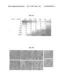 Neutralizing Antibody Against HGF diagram and image