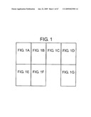 Transgenic animal model of bone mass modulation diagram and image