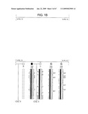 Transgenic animal model of bone mass modulation diagram and image