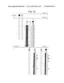 Transgenic animal model of bone mass modulation diagram and image