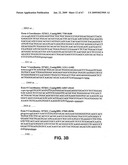 Transgenic animal model of bone mass modulation diagram and image