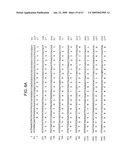 Transgenic animal model of bone mass modulation diagram and image