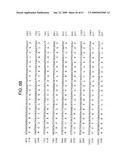 Transgenic animal model of bone mass modulation diagram and image