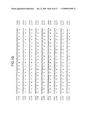 Transgenic animal model of bone mass modulation diagram and image