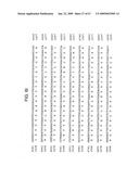 Transgenic animal model of bone mass modulation diagram and image